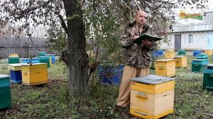 Сравнение Бакфаст и Карника