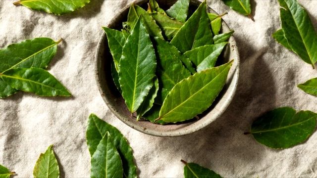 Вот зачем поджигают дома ЛАВРОВЫЙ ЛИСТ! Влияние запаха лавра, вызвало даже... смотреть онлайн