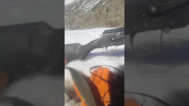 шикори нахчир смотреть онлайн