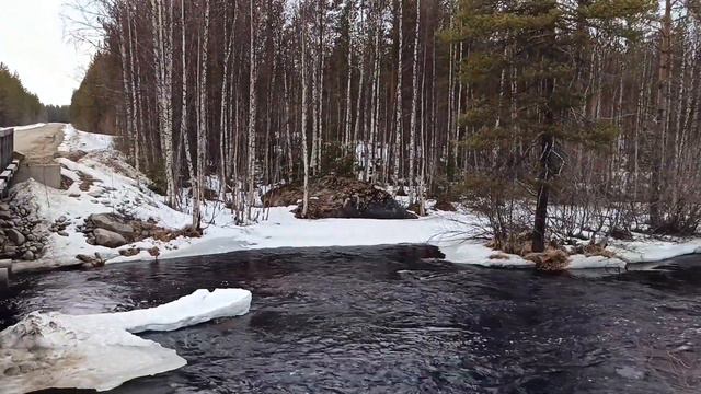 Весенняя вылазка на природу) смотреть онлайн