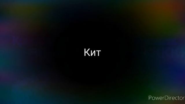 Красивые клички котов и кошек смотреть онлайн