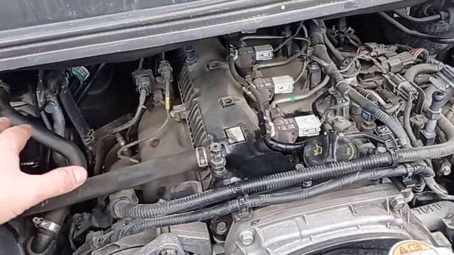 Hyundai Grand Starex 4wd течь масла через пробку и сапун. Oil Leaks. Timing Belt..mp4