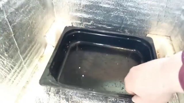 Инкубатор своими руками..Все плюсы и минусы. 3года инкубаций. смотреть онлайн