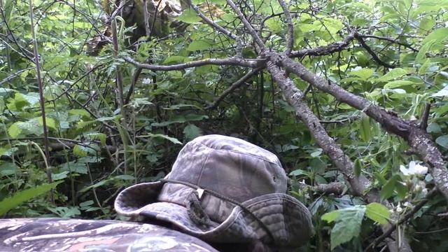 Жулан у дороги 160613 1 23Pa770 13 Slowmo самка атакует В ЗАТЫЛОК ОТЛИЧНО смотреть онлайн