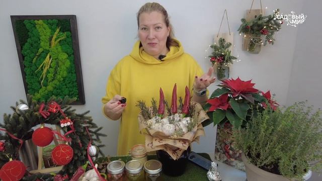 Аня, куда ты деваешь столько чеснока? 500 головок - мой средний урожай, его необычное употребление! смотреть онлайн