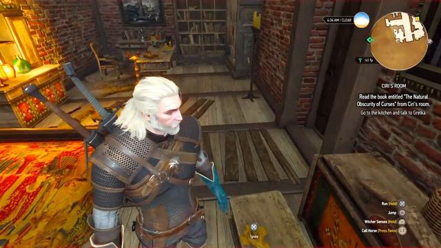 The Witcher 3: Wild Hunt: Ciri's Room смотреть онлайн