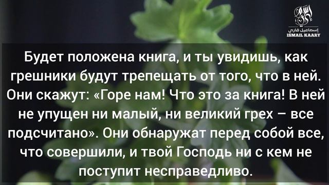 СУРА АЛЬ-КАХФ СЛУШАЙТЕ КАЖДУЮ ПЯТНИЦУ 01.03.24 смотреть онлайн