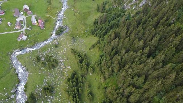 Одинокий дедушка рыдал как девчонка, видя что зверь сделал с его другом смотреть онлайн