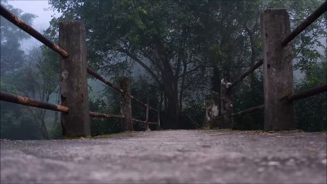 Всемирный День Холостяка. 7 августа - Холостяк смотреть онлайн