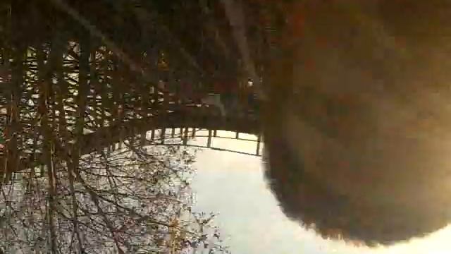 port aventura stampida смотреть онлайн