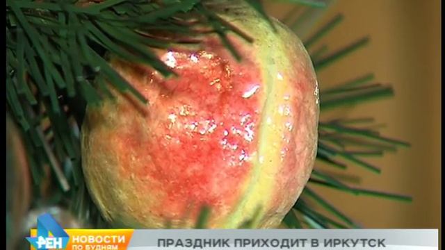 Первую новогоднюю ёлку нарядили в Иркутске смотреть онлайн