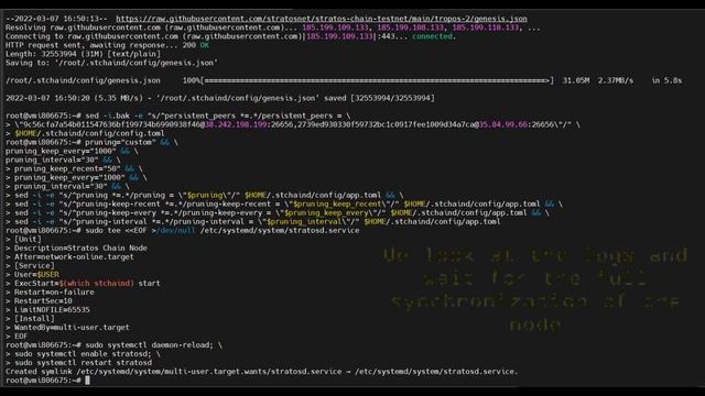 Stratos Network (Installing full node) смотреть онлайн