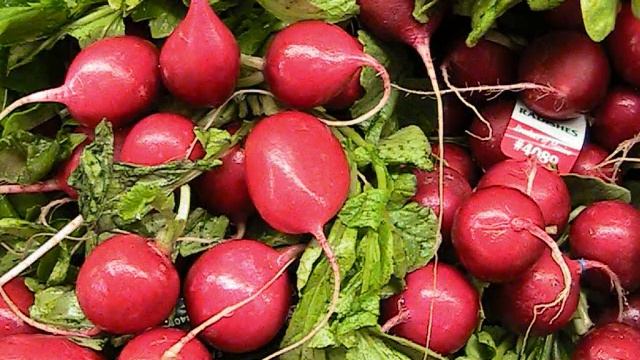 Canon FS200 Test - Photos смотреть онлайн