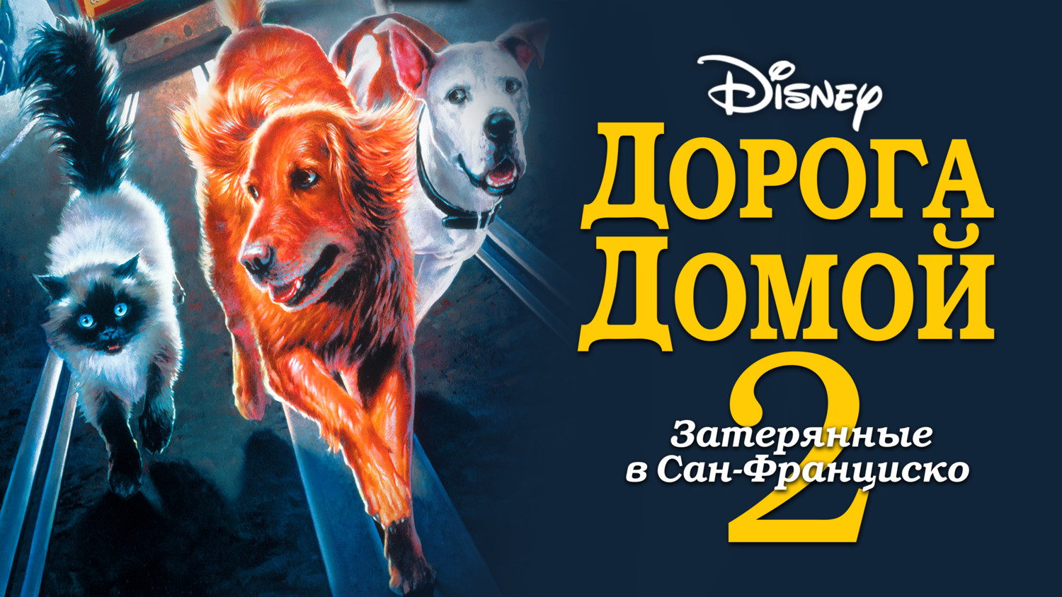 Дорога домой 2: Затерянные в Сан-Франциско (фильм, 1996) смотреть онлайн