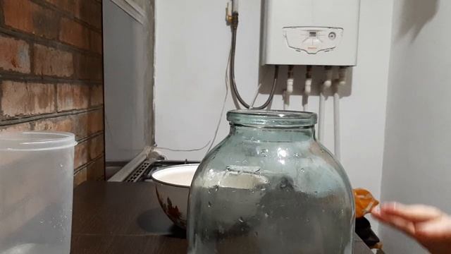 Как вырастить ЧАЙНЫЙ ГРИБ С НУЛЯ в домашних условиях смотреть онлайн