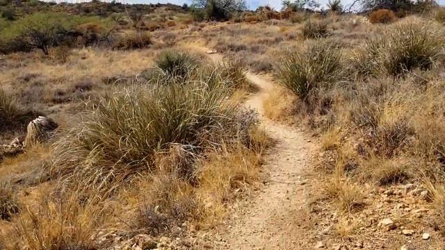 Granite Overlook Loop, Oracle, AZ смотреть онлайн