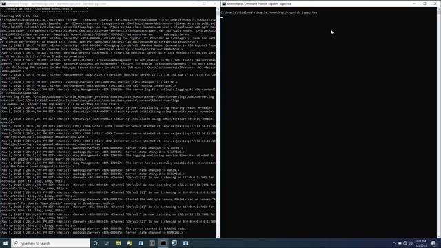 Demonstrating CVE-2020-2883 Version 1: Remote Code Execution in Oracle's WebLogic Server смотреть онлайн