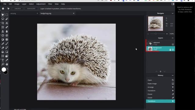 Pixlr: How to merge two animals смотреть онлайн