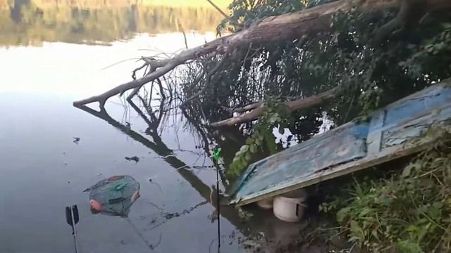 Репная Северский Донец рыбалка смотреть онлайн