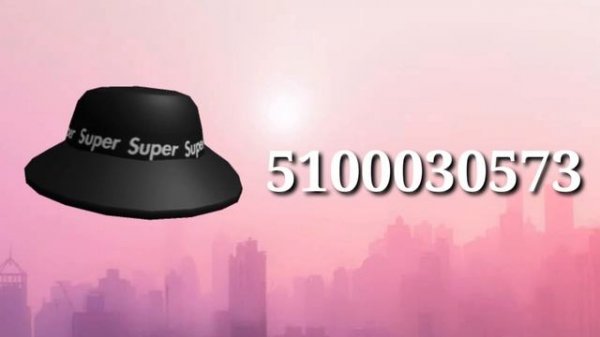 60+ Aesthetic Hat Codes/IDs For Brookhaven & Bloxburg ~NEW Preppy Y2K Cute Accessory Decals~ ROBLOX