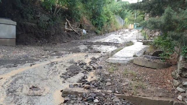 Крым. Партенит. 26 июня 2022 смотреть онлайн