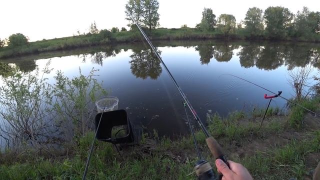 Рыба-Путешественница