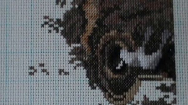 "Слишком устал" от Dimensions Отчет №1