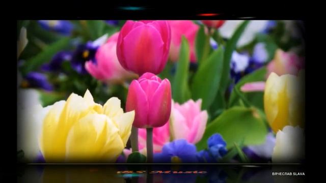 Поздравляю всех Женщин с 8 марта - Сергей Земеля смотреть онлайн