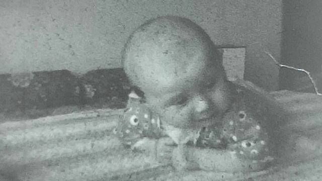 максу 2мес.MP4 смотреть онлайн