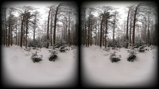 3D 180 VR Winter Woods - Master of None смотреть онлайн