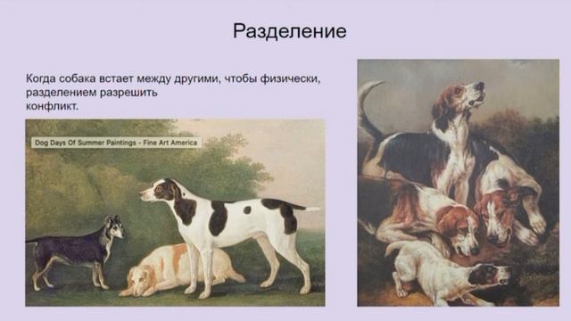 Язык тела собак смотреть онлайн
