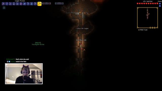terraria master mode but actually enjoyable смотреть онлайн