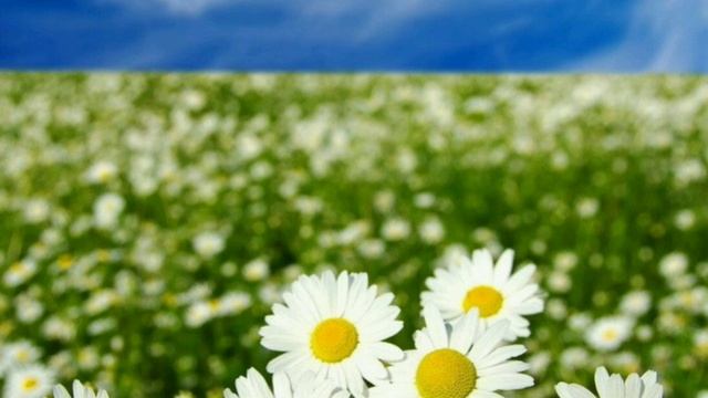 #26августа - день Тихона Страстного смотреть онлайн