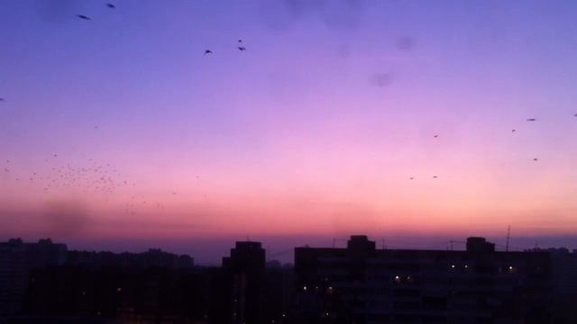 Грачи улетели сегодня утром смотреть онлайн