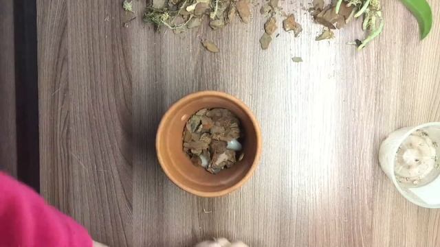 Пересадка фаленопсиса в глиняный горшок смотреть онлайн