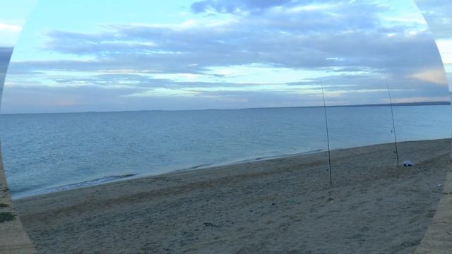 Ловля пеленгаса. Азовское море смотреть онлайн
