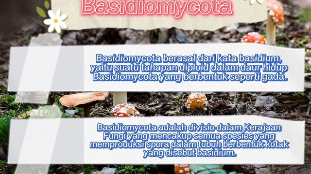 Pengenalan mikologi dan pengenalan jamur Basidiomycota смотреть онлайн