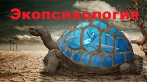 07.Чакры и меридианы. Экопсихология, Антонов Владимир