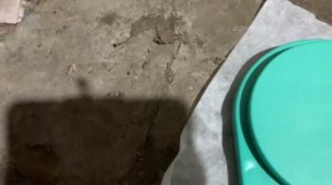 Мало кто знает как заменить защиту спиц на велосипеде