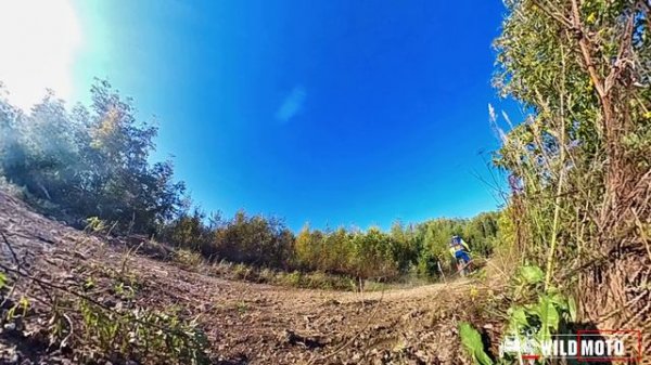 Регулировка и проверка подвески GAUDI от (WildMoto).