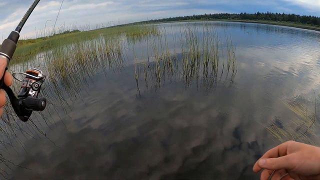 Ловля щуки на спиннинг с берега смотреть онлайн