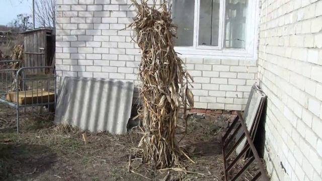 Укрытие деревьев на зиму укутывание молодых деревьев на зиму смотреть онлайн