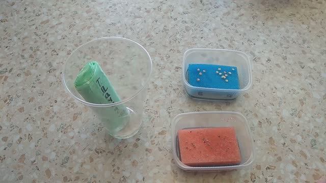 Три лучших способа посева семян на рассаду. смотреть онлайн