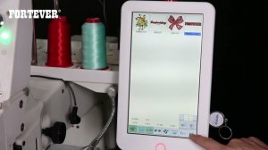 Вышивка в бордюрной раме FT-1201