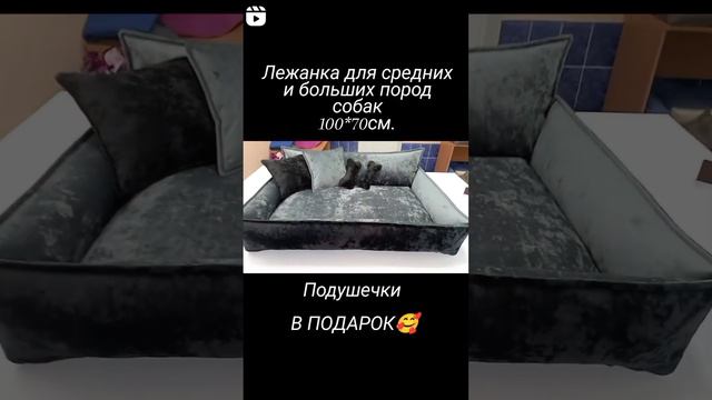 ПРЕИМУЩЕСТВО ЛЕЖАНКИ 🔥 СЪЁМНЫЙ ЧЕХОЛ. КАЧЕСТВЕННАЯ МЕБЕЛЬНАЯ ТКАНЬ АНТИКОГОТЬ.#лежанкидлясобак смотреть онлайн