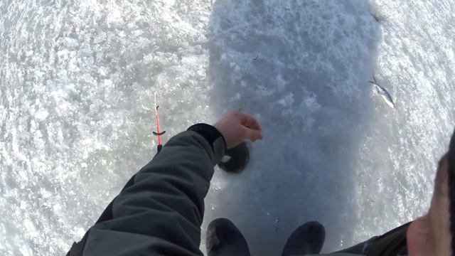 Зимняя рыбалка на водохранилище. смотреть онлайн