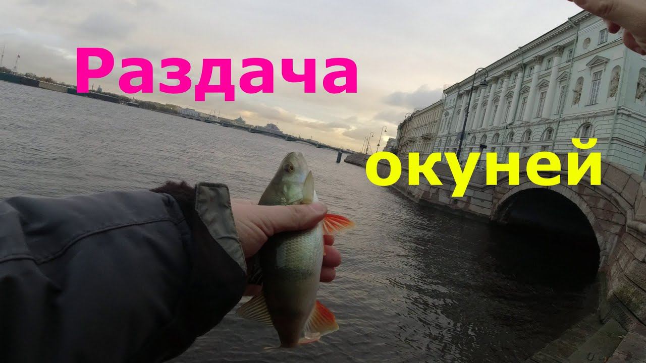 #489 #StreetFishing | Раздача окуней #1 | смотреть онлайн