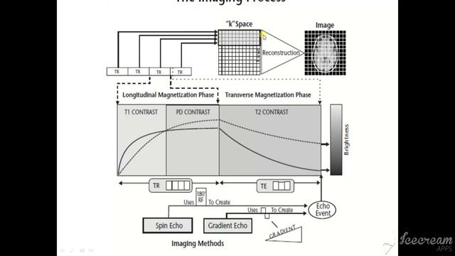 MRI Physics Part 11 T1 ,T2 and PD اساسيات فيزياء الرنين المغناظيسي بالعربي смотреть онлайн