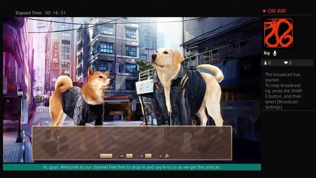 Summer as a dog. First look at summer with the shiba inu смотреть онлайн