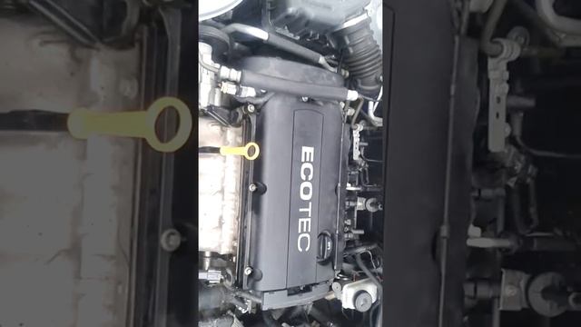Странный звук в двигателе похожий на звук болгарки смотреть онлайн